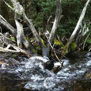 Download Hiraeth Eschar - Hyalite Canyon