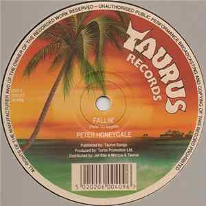 Download Peter Honeygale - Fallin'
