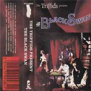 Download The Triffids - The Triffids Present The Black Swan