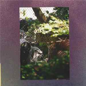 Download Mesmer - Kensho