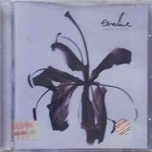Download Evaline - Woven Material