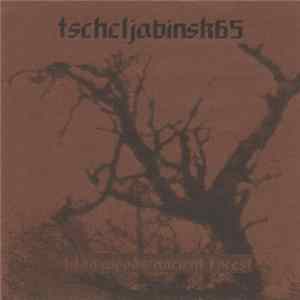 Download Tscheljabinsk65 - Titan Woods / Ancient Forest