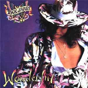 Download Rick James - Wonderful