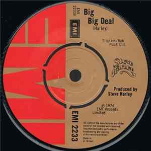 Download Steve Harley - Big Big Deal