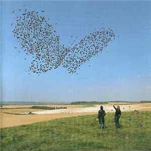 Download Muse - Butterflies & Hurricanes