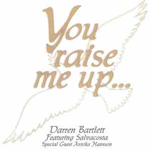 Download Darren Bartlett - You Raise Me Up