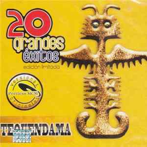 Download Various - 20 Grandes Éxitos - Tequendama