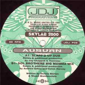 Download Skylab 2000 - Auburn