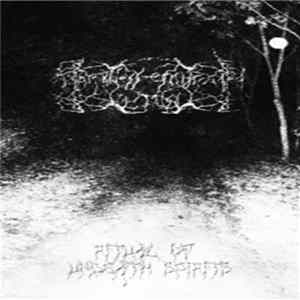 Download Darkness Enshrouded The Mist - Ritual Of Undeath Spirits