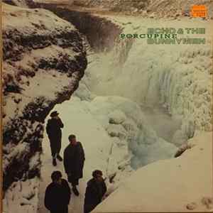 Download Echo & The Bunnymen - Porcupine