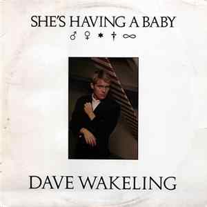 Download Dave Wakeling - She's Having A Baby
