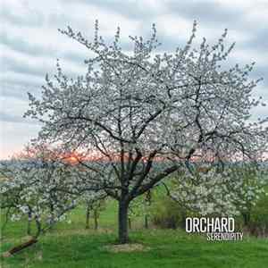 Download Orchard - Serendipity