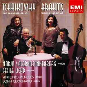 Download Tchaikovsky / Brahms - Nadja Salerno-Sonnenberg - Trio In A Minor, Op. 50 / Trio In E-flat, Op. 40