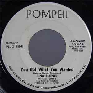 Download Tina Turner - You Got What You Wanted/Too Hot To Hold