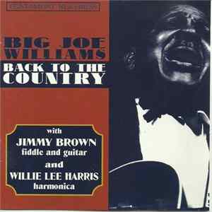 Download Big Joe Williams With Jimmy Brown And Willie Lee Harris - Back To The Country