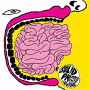 Download Various - Solid PR Presents: Vol. 1 - A Benefit For The National MS Society