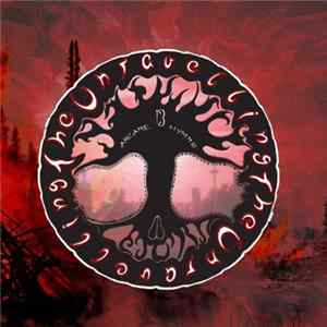 Download The Unravelling - 13 Arcane Hymns