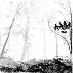 Download Forest Grave - Forgotten