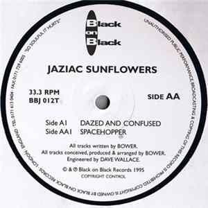 Download Jaziac Sunflowers - Dazed And Confused