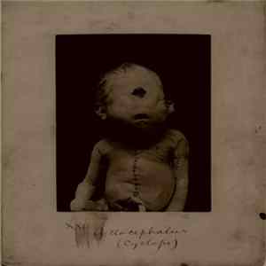 Download Datacode Division - Dissections
