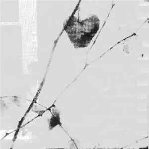 Download Forest Management - Remain