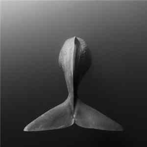Download Useless Edge - space whale