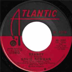 Download David Newman - Brandy / Foxy Brown