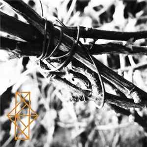 Download Common Eider, King Eider - Shrines For The Unwanted, Respite For The Cast Aside
