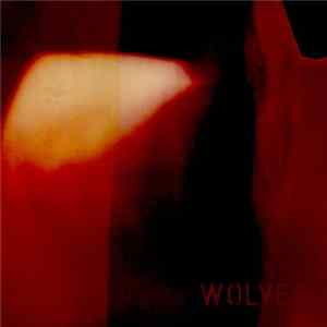 Download Wolves Of Isle Royale - Box Hum