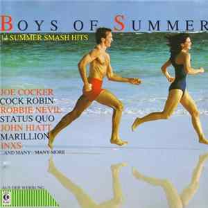 Download Various - Boys Of Summer - 14 Summer Smash Hits