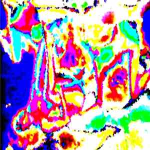 Download Painful Defecation - Electronic Music And Women