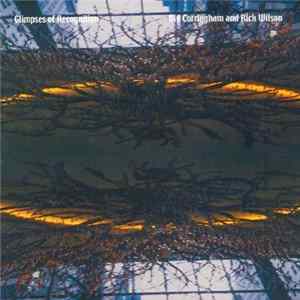 Download Viv Corringham & Rick Wilson - Glimpses Of Recognition