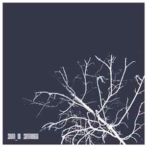 Download Sound_00 - Summer666