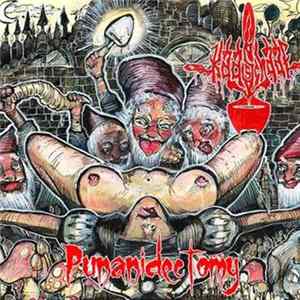 Download Kaasschaaf - Punanidectomy