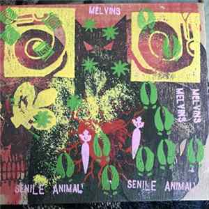 Download (The) Melvins - (A) Senile Animal