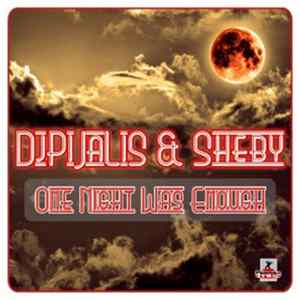 Download DJ Pijalis & Sheby - One Night Was Enough