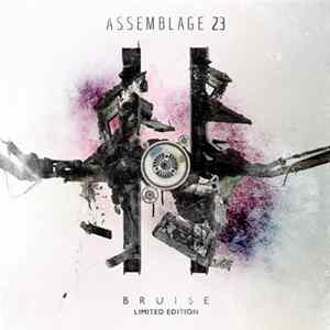 Download Assemblage 23 - Bruise
