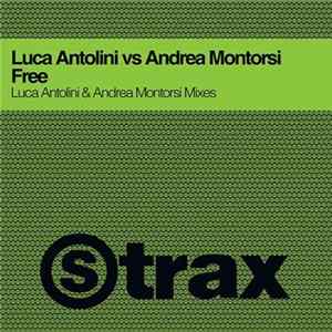 Download Luca Antolini Vs Montorsi - Free