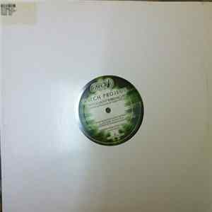 Download Witch Project - Witch Hunt