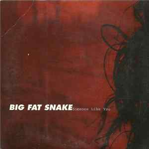 Download Big Fat Snake - Someone Like You
