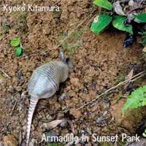 Download Kyoko Kitamura - Armadillo In Sunset Park