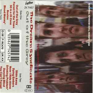 Download The Dream Syndicate - Out Of The Grey