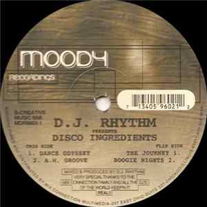 Download D.J. Rhythm - Disco Ingredients