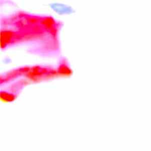 Download Umfang - OK