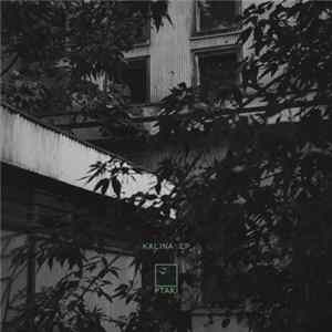 Download Ptaki - Kalina EP