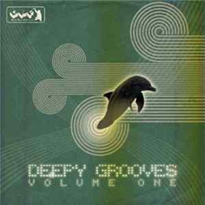 Download Various - Deepy Grooves Volume 1