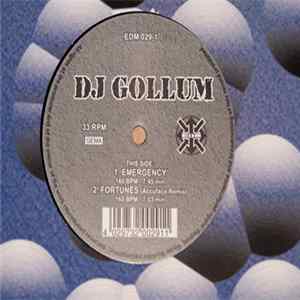 Download DJ Gollum - Fortunes