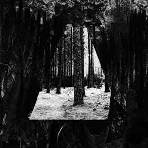 Download R. Schwarz - The Scale Of Things