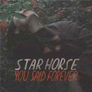 Download Star Horse - You Said Forever