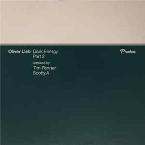 Download Oliver Lieb - Dark Energy (Part 2)